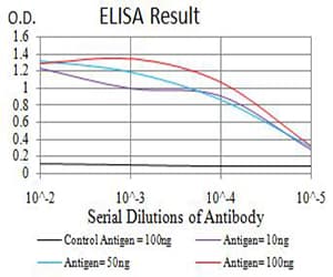 ADAMTS1 Antibody (clone 1C12E6)