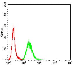 Monoclonal Mouse anti-Human Adiponectin Antibody (clone 1E10D5, WB)