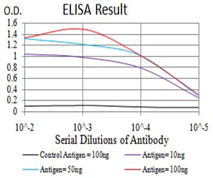 TRIM25 Antibody (clone 5B5B10)
