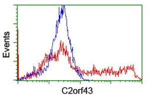 LDAH Antibody (clone OTI2G9)