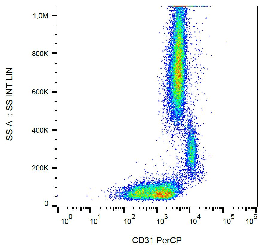PECAM-1 / CD31 Antibody (clone MEM-05, PerCP)