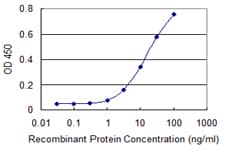 PSMC2 / RPT1 Antibody (clone 4C10-2C8)