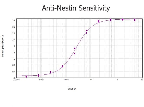 NES / Nestin Antibody