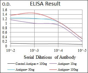 GRIA2 / GLUR2 Antibody (clone 7G6)