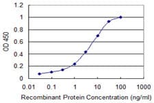 Monoclonal Mouse anti-Human RGS10 Antibody (clone 1G9-2D4)