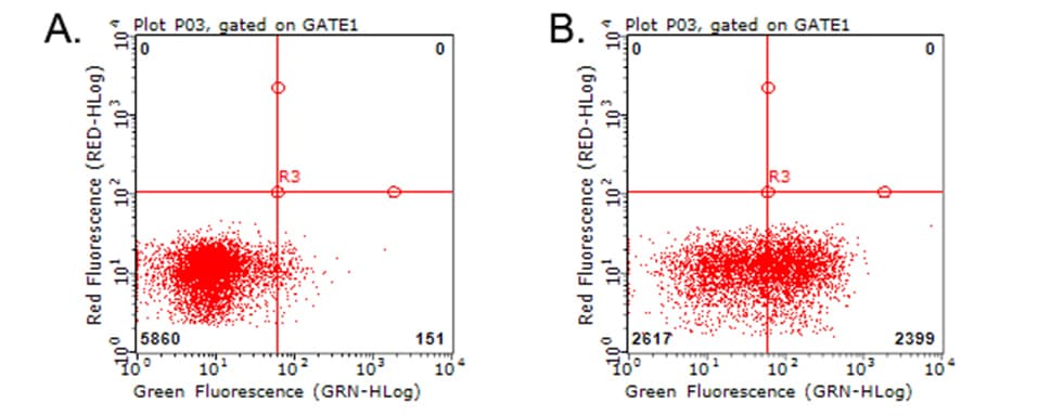 Monoclonal Mouse anti-Human HAVCR2 / TIM-3 Antibody (clone OTI1C4, WB)