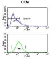 HPX / Hemopexin Antibody (aa200-227)