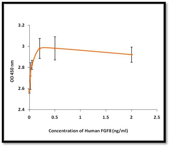 Human FGF8 Protein (Recombinant)