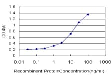 ID2 Antibody (clone 3C3)