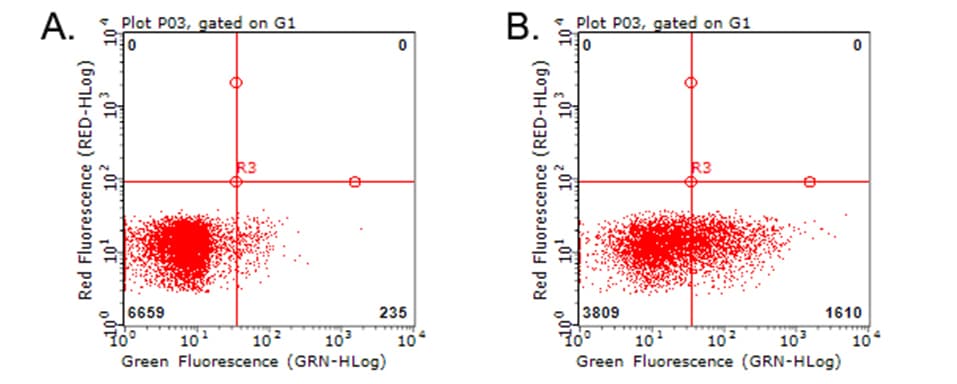 TNFRSF9 / 4-1BB / CD137 Antibody (clone OTI6D7)