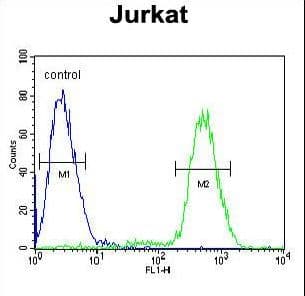 PPP1R3A / GM Antibody (aa754-782)