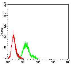 TFAP2A / AP-2 Antibody (clone 2H9F12)