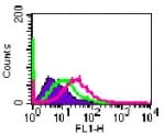 IHC-plus™ Polyclonal Rabbit anti-Human IL20RA Antibody (aa159-175, IHC, WB)