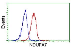 NDUFA7 Antibody (clone OTI2G4, Carrier-free)