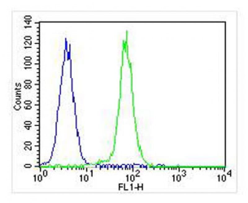 CDK5 Antibody (clone 1552CT262.105.8)