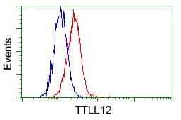 KIAA0153 / TTLL12 Antibody (clone OTI4E3, Carrier-free)
