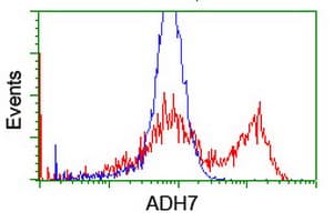 ADH7 Antibody (clone OTI2C3)