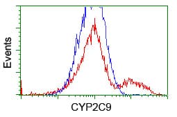CYP2C9 / Cytochrome P450 2C9 Antibody (clone OTI3D2)