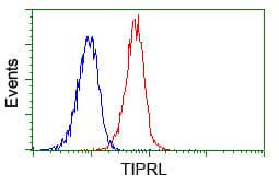 TIPRL / TIP Antibody (clone OTI3D11)
