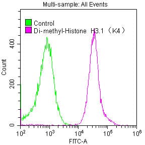 Recombinant Monoclonal Rabbit anti-Human HIST1H3A Antibody (IF, WB)