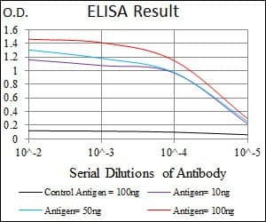 NOS2 / iNOS Antibody (clone 4E5)