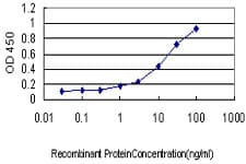 CXCL4 / PF4 Antibody (clone 3F6)