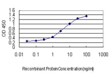 ALAS1 Antibody (clone 3G10)