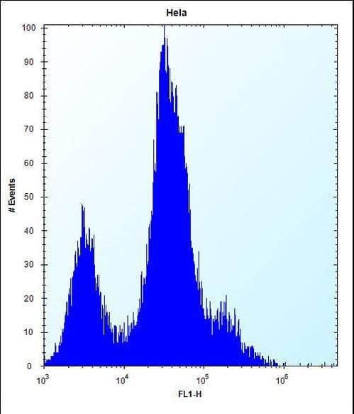 CD55 Antibody (aa51-79)