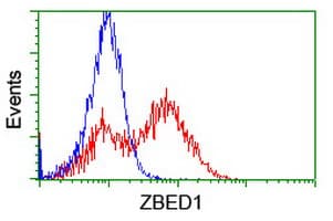 ZBED1 / TRAMP Antibody (clone OTI4C5)