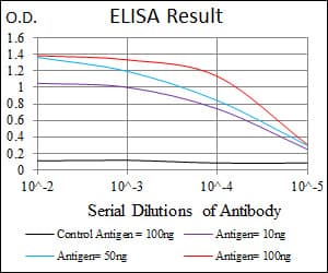 IHC-plus™ MBP Antibody (clone 2H9)