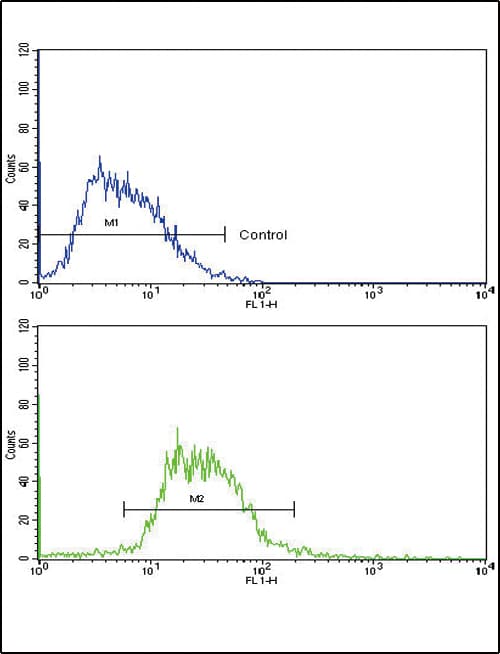 PathPlus™ GCG / Glucagon Antibody (aa25-54)