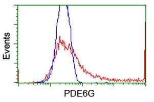 PDE6G / PDE6 Gamma Antibody (clone OTI1F3, Carrier-free)
