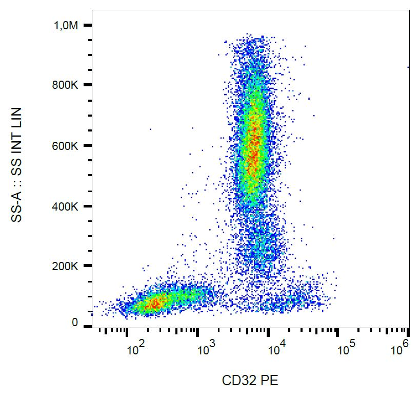 CD32A Antibody (clone 3D3, PE)