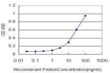 Monoclonal Mouse anti-Human TP53 / p53 Antibody (clone 2C3, IF, WB)