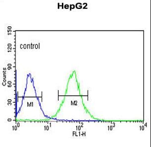 Polyclonal Rabbit anti-Human ACER3 Antibody (aa224-250, WB)