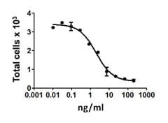 Human FASLG / Fas Ligand Protein (Recombinant)