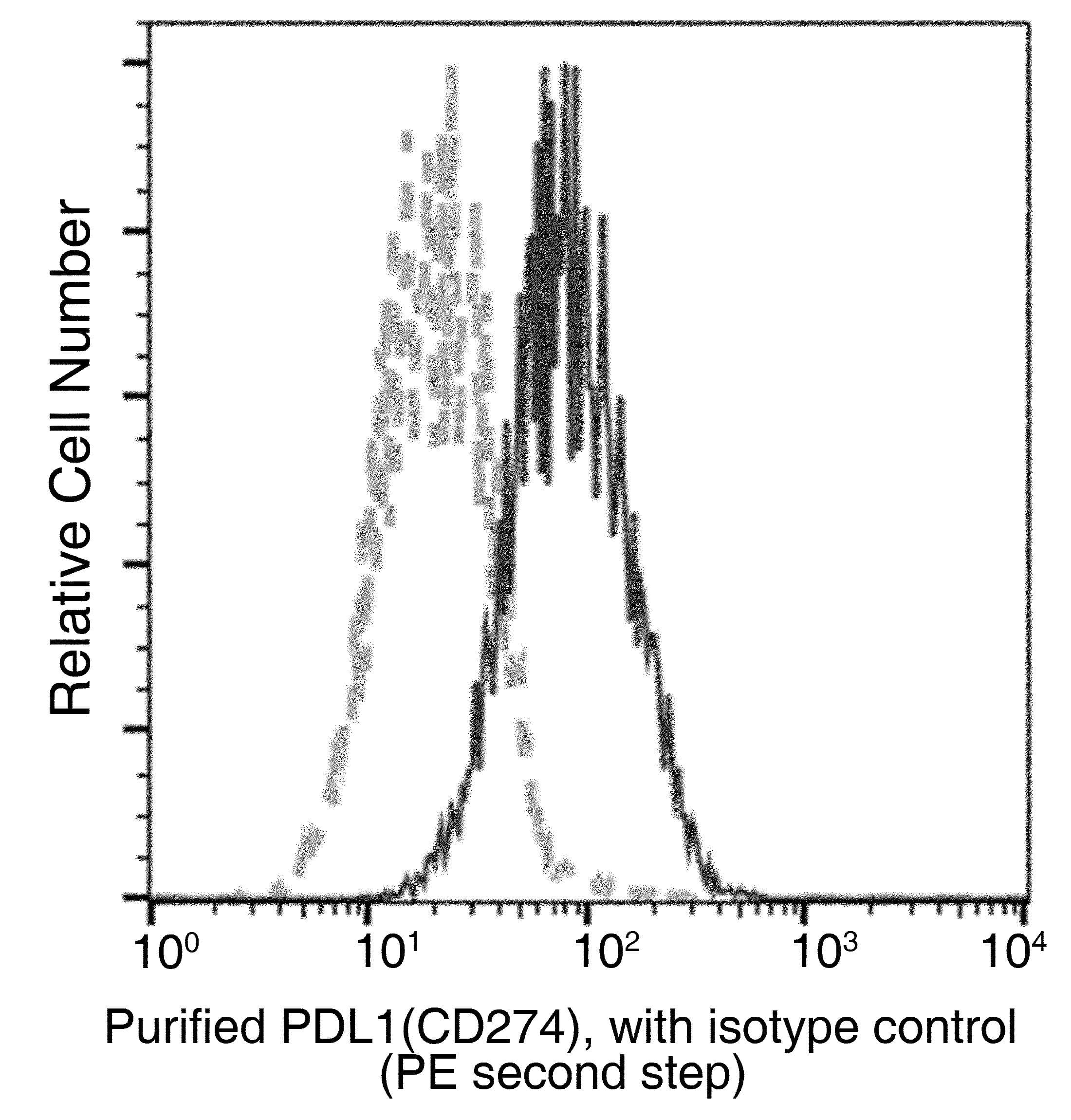 CD274 / B7-H1 / PD-L1 Antibody (clone 36, Preservative Free)