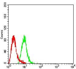 EZH1 / ENX-2 Antibody (clone 4B11B4)