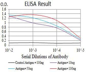 BTRCP / BETA-TRCP Antibody (clone 4C5D8)