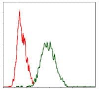 RAF1 / RAF Antibody (clone 4G4)