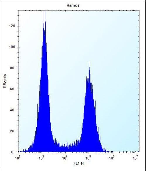 TMEM55B Antibody (aa183-211)