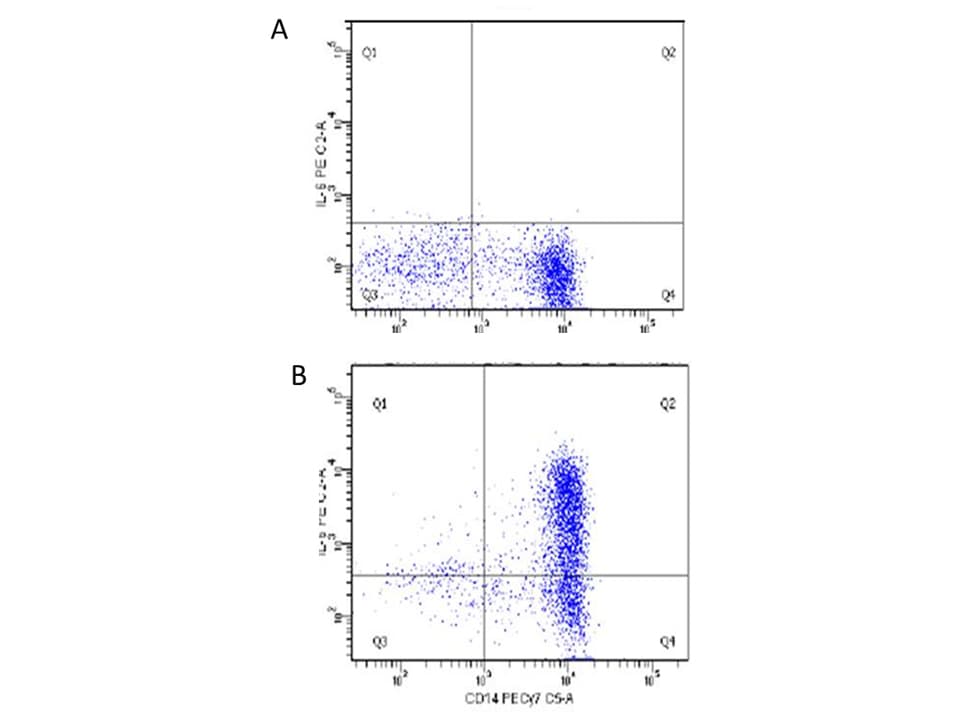 IL6 / Interleukin 6 Antibody (clone 33A12.G9)