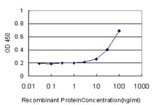 PMS2 Antibody (clone 4G4)