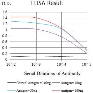 BTN1A1 Antibody (clone 4B11B3)