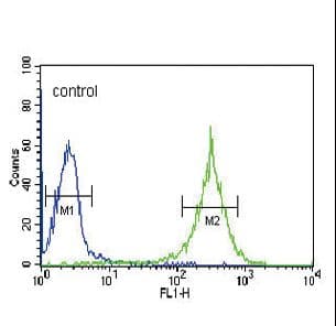 LP-PLA2 / PLA2G7 Antibody (aa200-228)