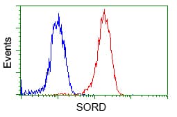 SORD / Sorbitol Dehydrogenase Antibody (clone OTI9G9)