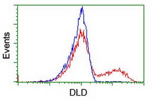 DLD / Diaphorase / E3 Antibody (clone OTI6D5)