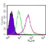 MYD88 Antibody (aa50-100, clone 4D6)