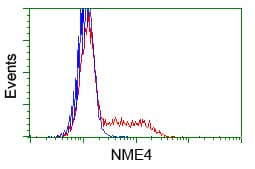 NME4 Antibody (clone OTI1A5)