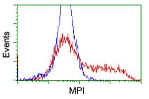 Mannose Phosphate Isomerase Antibody (clone OTI4A11, Carrier-free)